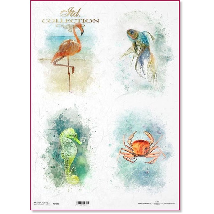 ��������� ������ ITD Collection - ������ ������� - A3 - 