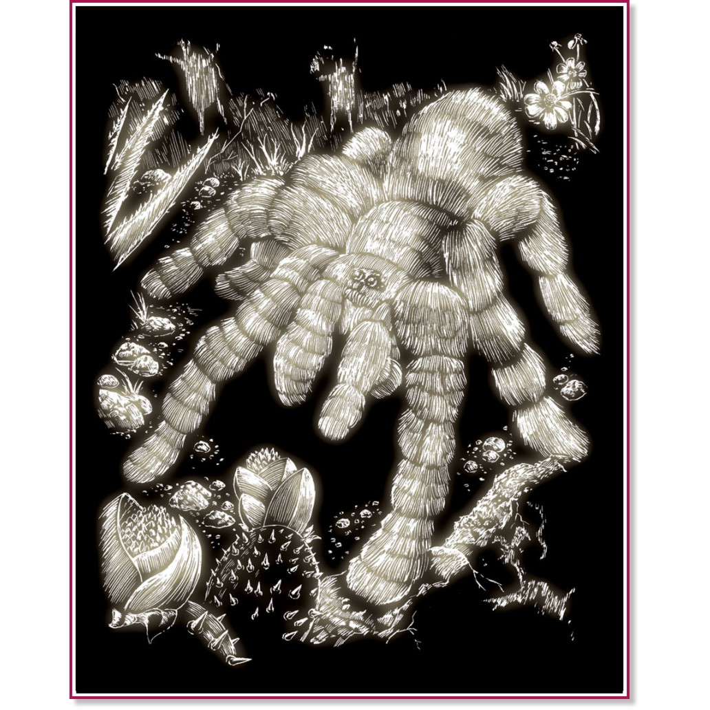   Royal & Langnickel -     - 20 x 25 cm - 