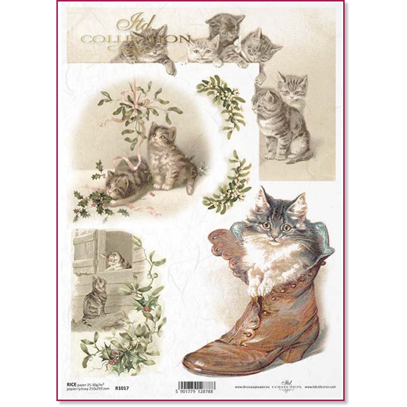 ��������� ������ ITD Collection - ����� � ���� - A4 - 