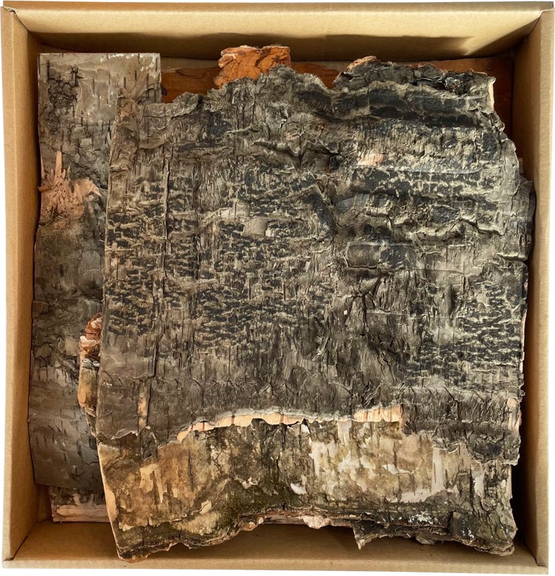 Парчета брезова кора Слънчоглед Парчета брезова кора Слънчоглед - 250 g -