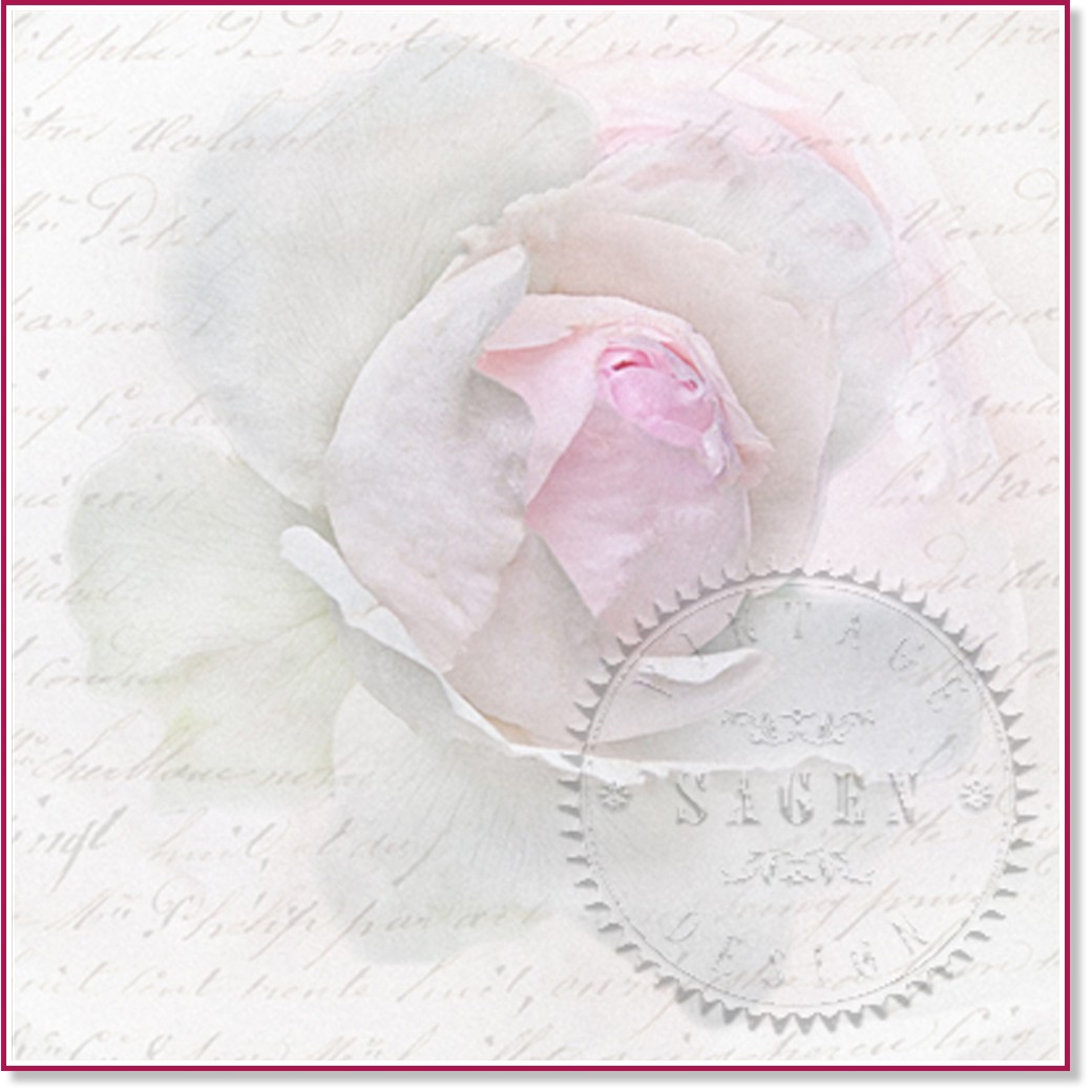    Sagen Vintage -  - 20  - 