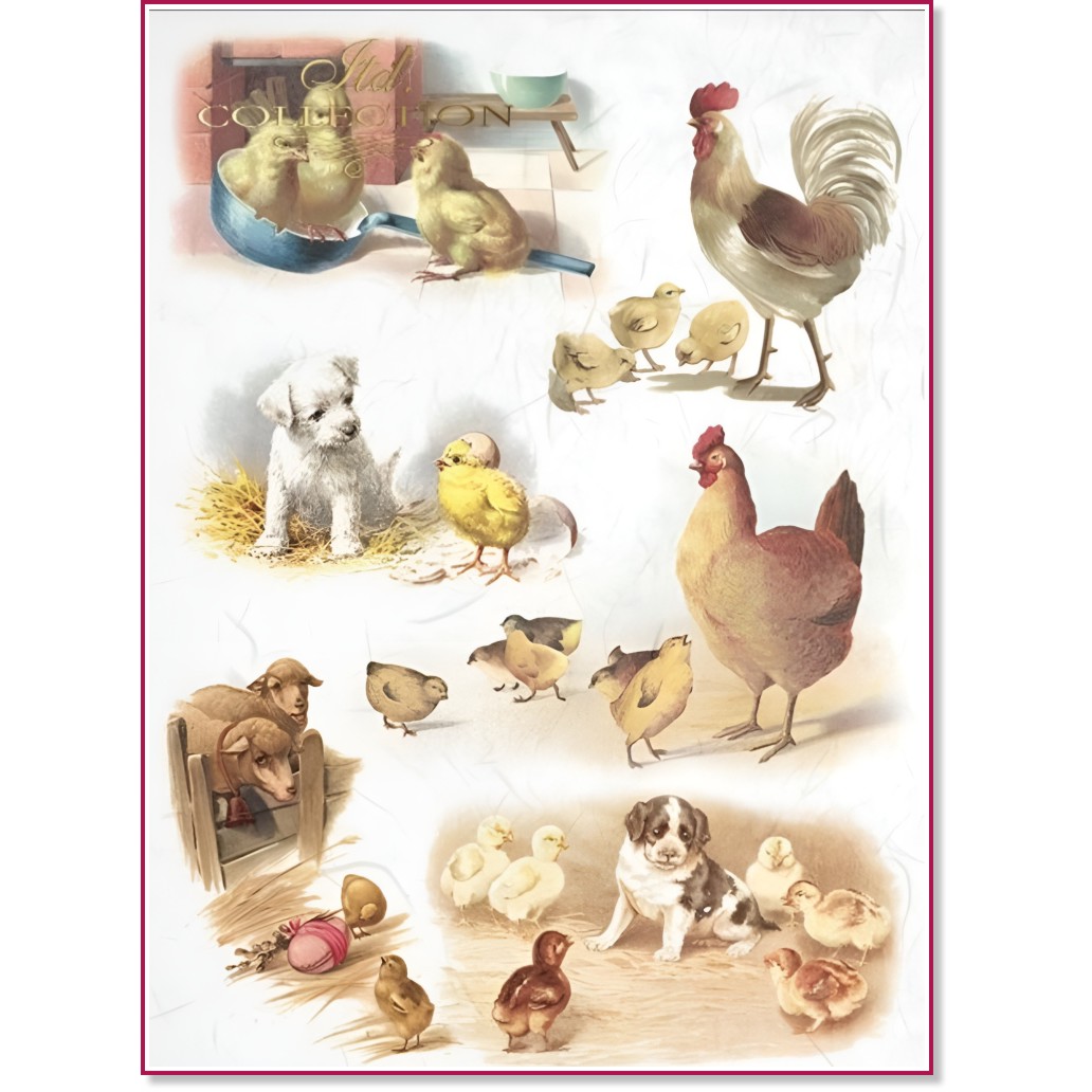   ITD Collection -    - A3 - 