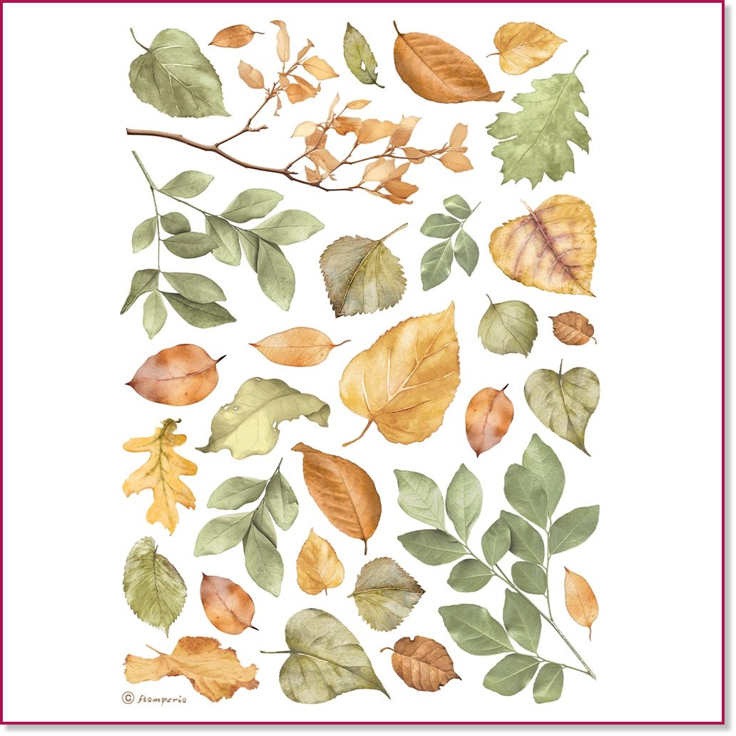   Stamperia -  - A4 - 