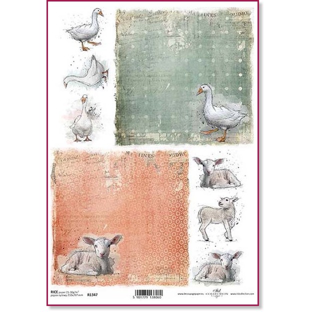 ��������� ������ ITD Collection - ����� � ������ - A4 - 