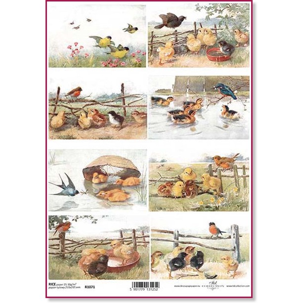 ��������� ������ ITD Collection - ����� � ������ - A4 - 