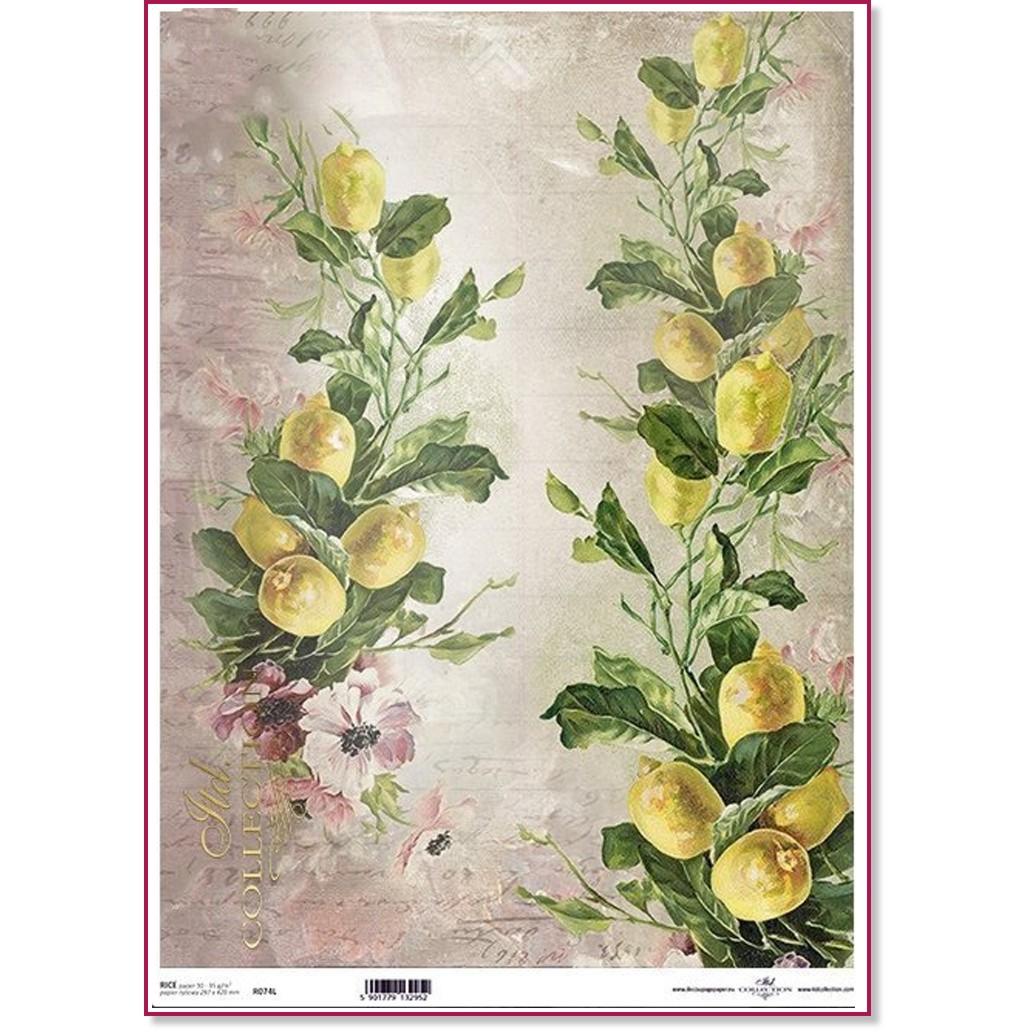   ITD Collection -  - A3 - 