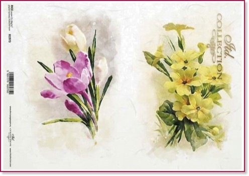   ITD Collection -   - A4 - 