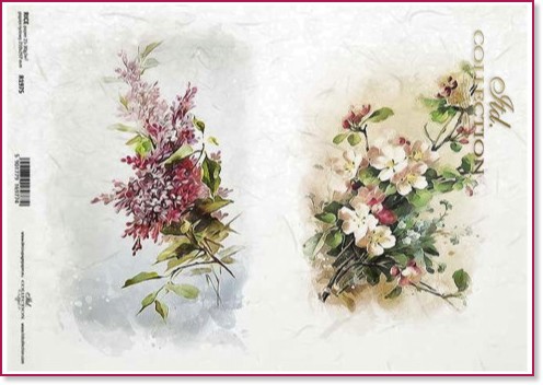 ��������� ������ ITD Collection - �������� ����� - A4 - 