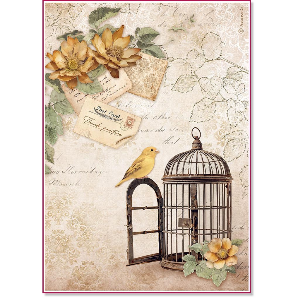   Stamperia -  - A4   Golden Harmony - 