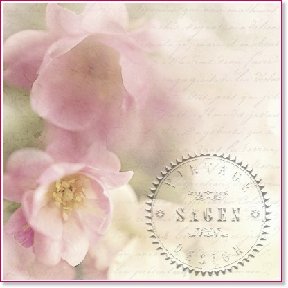    Sagen Vintage -  - 20  - 