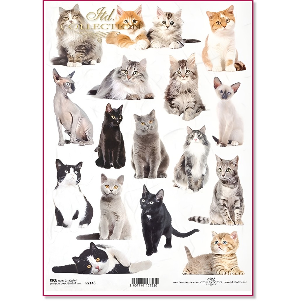   ITD Collection -  - A4 - 