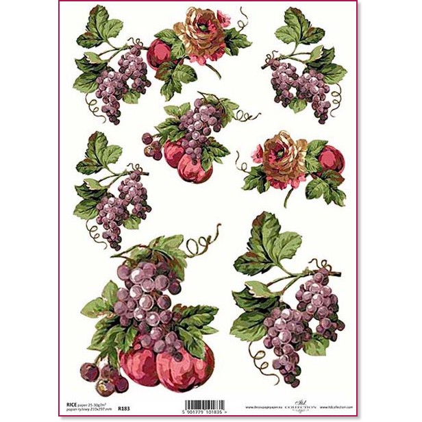   ITD Collection -  - A4 - 