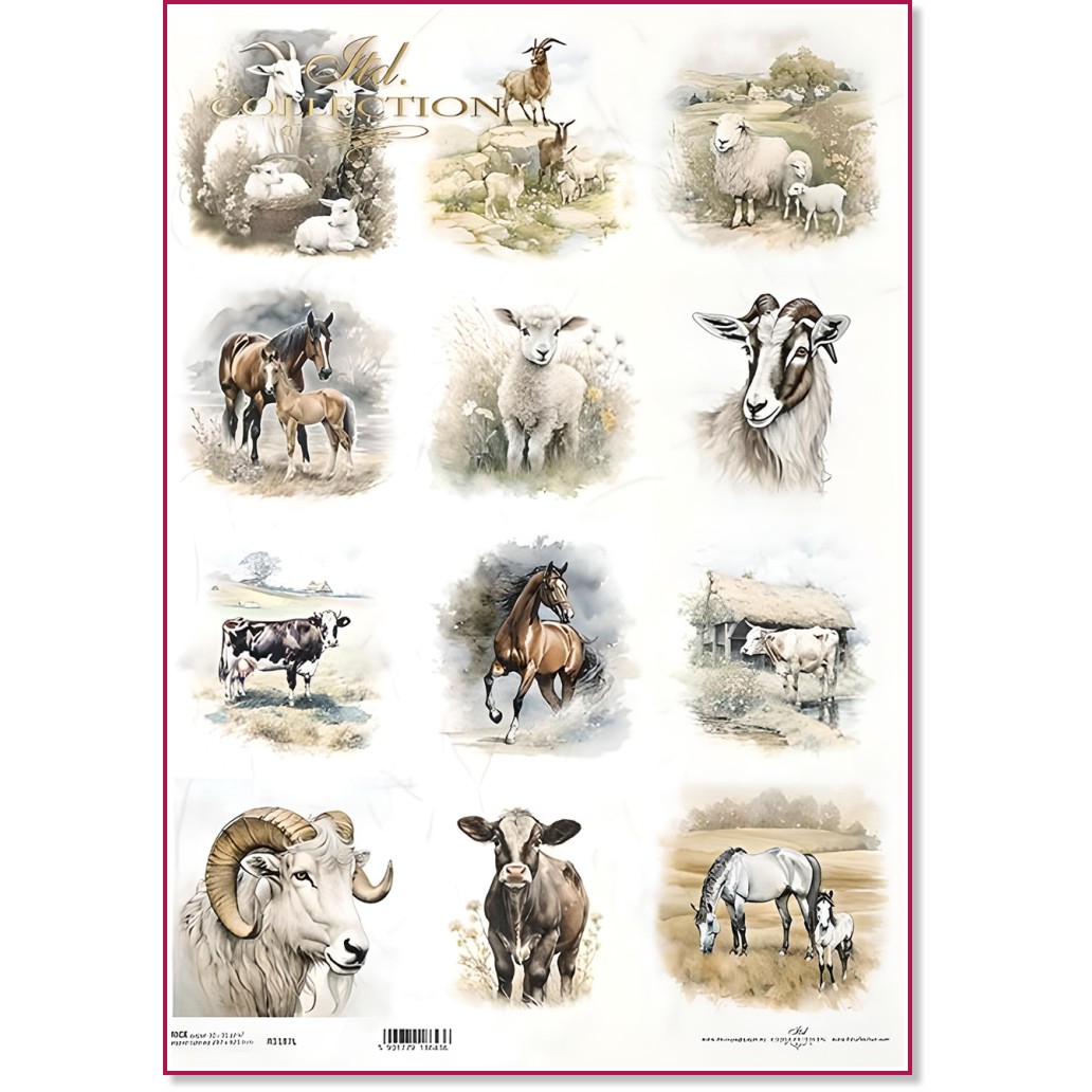 ��������� ������ ITD Collection - ������� - A3 - 