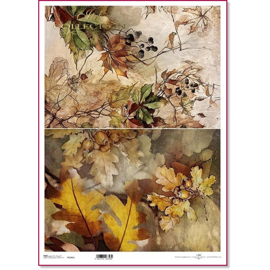 ��������� ������ ITD Collection - ������ ����� - A3 - 