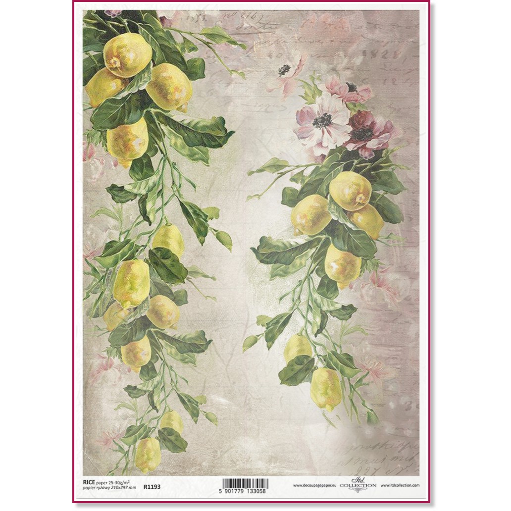   ITD Collection -  - A4 - 