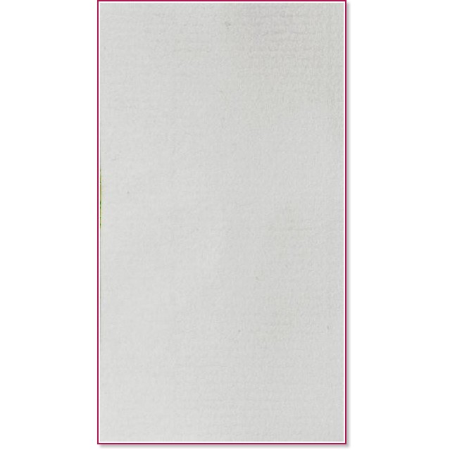    Canson 1 White -   Ingres Vidalon - 