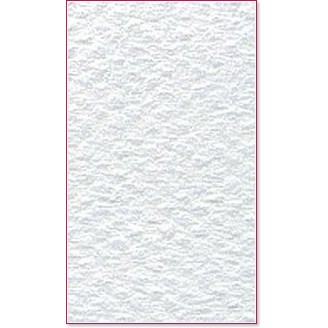 ������ �� �������� Canson 335 White - �� ������� Mi-Teintes - 