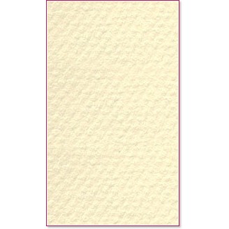 ������ �� �������� Canson 101 Pale yellow - �� ������� Mi-Teintes - 