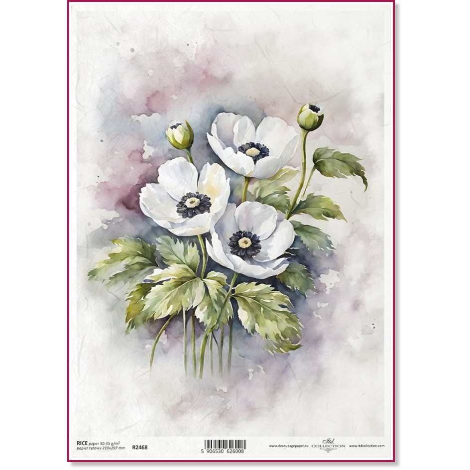   ITD Collection -   - A4 - 