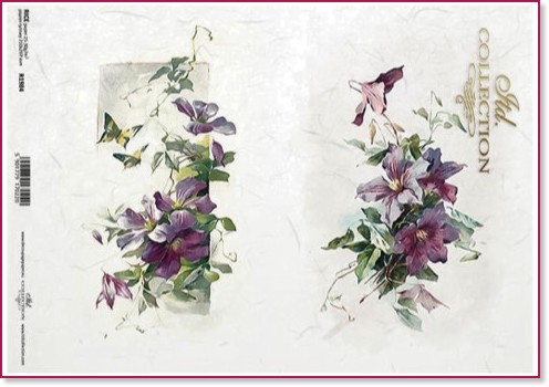   ITD Collection -  - A4 - 