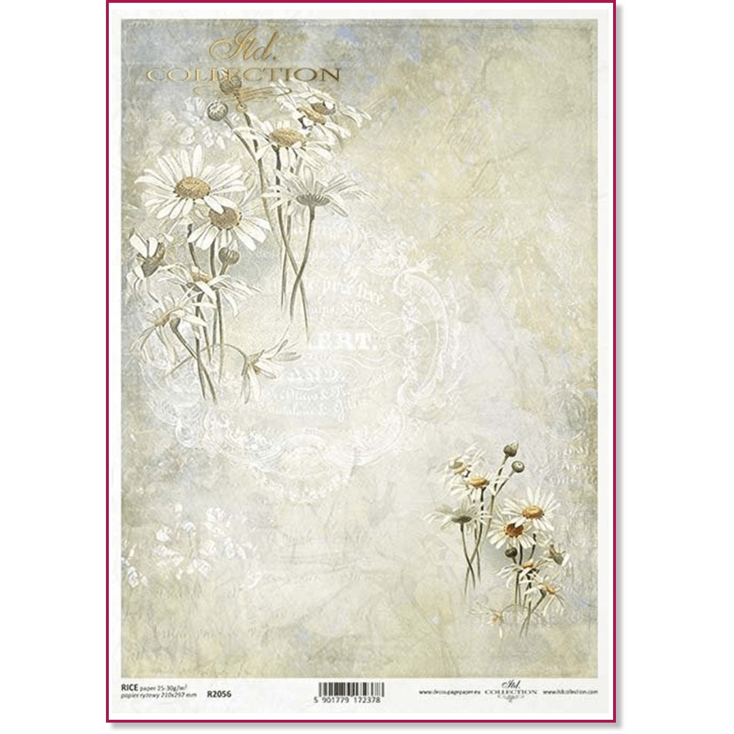   ITD Collection -  - A4 - 