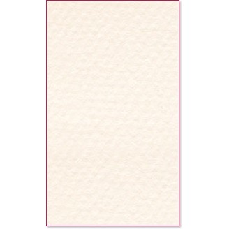 ������ �� �������� Canson 110 Lily - �� ������� Mi-Teintes - 