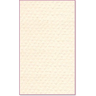    Canson 111 Ivory -   Mi-Teintes - 