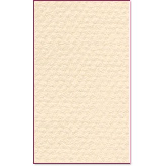 ������ �� �������� Canson 112 Eggshell - �� ������� Mi-Teintes - 