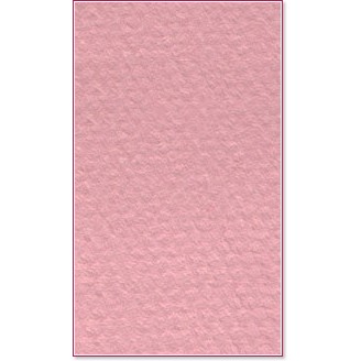 ������ �� �������� Canson 352 Orchid - �� ������� Mi-Teintes - 