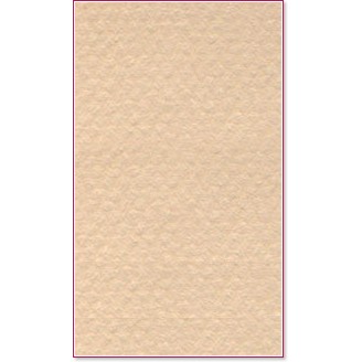    Canson 340 Oyster -   Mi-Teintes - 