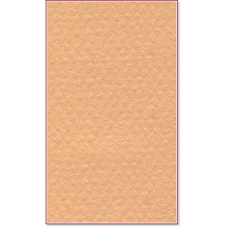 Хартия за рисуване Canson 374 Hemp Хартия за рисуване Canson 374 Hemp - От серията Mi-Teintes -