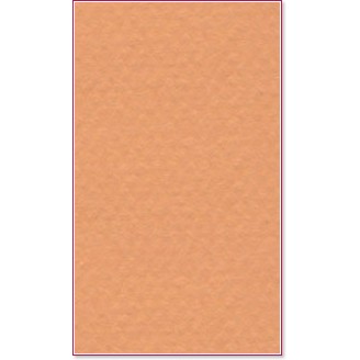 ������ �� �������� Canson 384 Buff - �� ������� Mi-Teintes - 