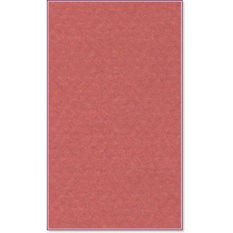 ������ �� �������� Canson 130 Red earth - �� ������� Mi-Teintes - 