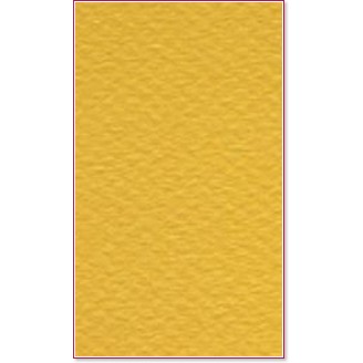    Canson 400 Canary -   Mi-Teintes - 