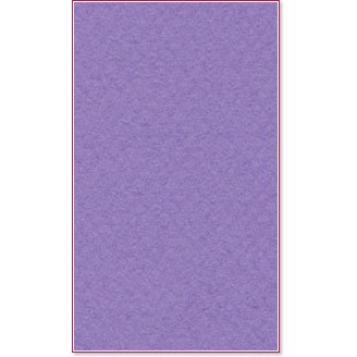    Canson 113 Blueberry -   Mi-Teintes - 