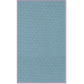    Canson 490 Light blue -   Mi-Teintes - 