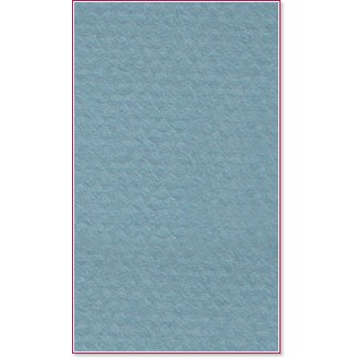    Canson 490 Light blue -   Mi-Teintes - 