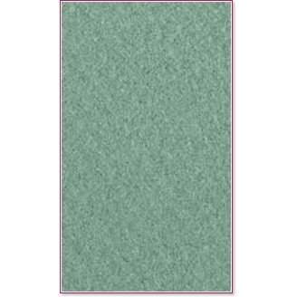 ������ �� �������� Canson 105 Green tea - �� ������� Mi-Teintes - 