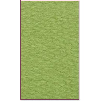 ������ �� �������� Canson 480 Light green - �� ������� Mi-Teintes - 