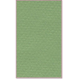 ������ �� �������� Canson 475 Apple green - �� ������� Mi-Teintes - 