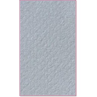 ������ �� �������� Canson 122 Flannel grey - �� ������� Mi-Teintes - 