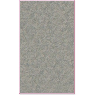 ������ �� �������� Canson 431 Steel grey - �� ������� Mi-Teintes - 