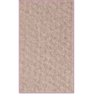    Canson 426 Moon stone -   Mi-Teintes - 