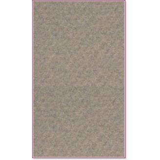    Canson 429 Felt grey -   Mi-Teintes - 