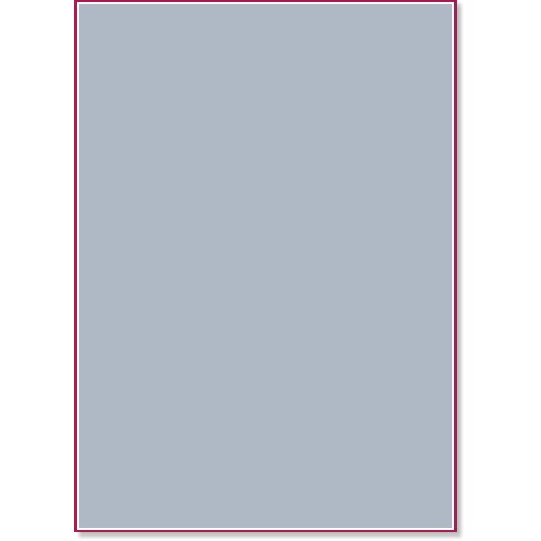    Canson 35 Light grey -   Colorline - 