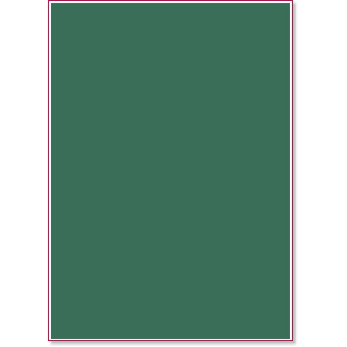 Хартия за рисуване Canson 30 Moss green - От серията Colorline - 