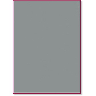Хартия за рисуване Canson 431 Steel grey - 5 листа от серията Mi-Teintes - 