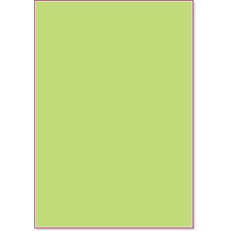   Canson - Soft green - 50 x 70 cm - 