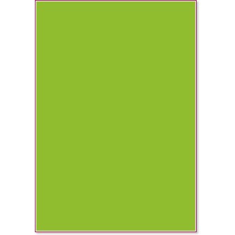   Canson - Iridescent kiwi - 50 x 70 cm - 