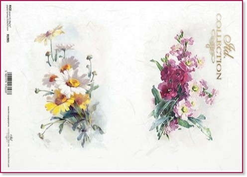 ��������� ������ ITD Collection - ����� � �������� - A4 - 